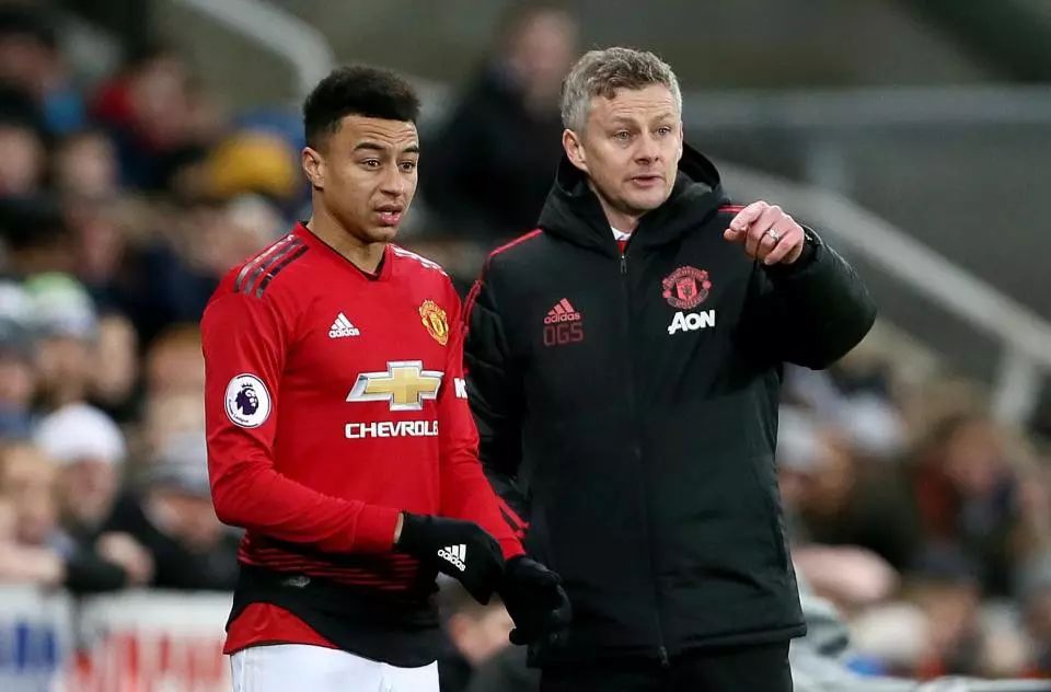 了胜利的大 了胜利的大